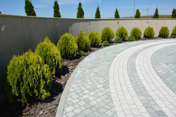 Best Driveway Paving Contractor  in Quincy, MI